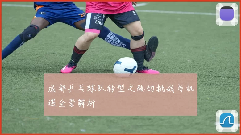 成都乒乓球队转型之路的挑战与机遇全景解析