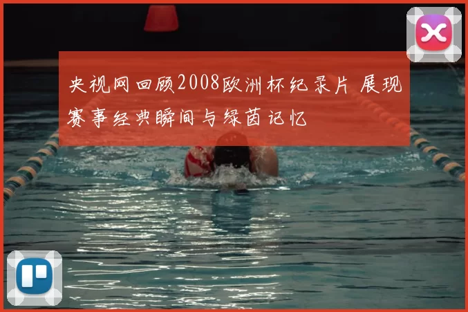 央视网回顾2008欧洲杯纪录片 展现赛事经典瞬间与绿茵记忆