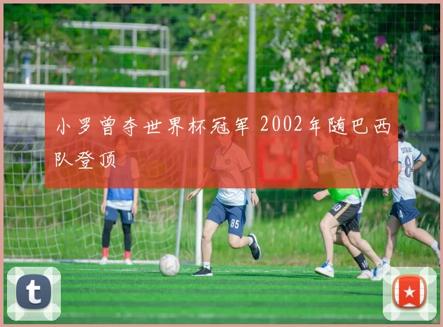 小罗曾夺世界杯冠军 2002年随巴西队登顶