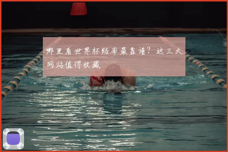 哪里看世界杯赔率最靠谱？这三大网站值得收藏