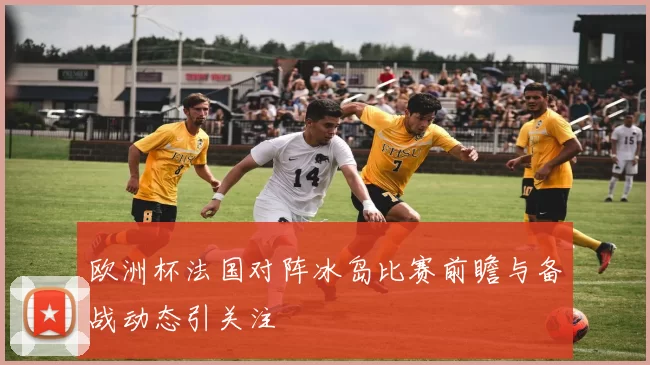 欧洲杯法国对阵冰岛比赛前瞻与备战动态引关注
