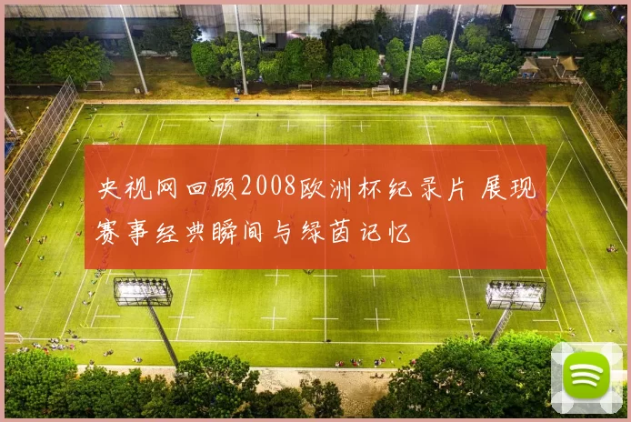 央视网回顾2008欧洲杯纪录片 展现赛事经典瞬间与绿茵记忆