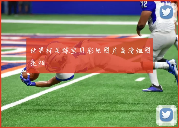 世界杯足球宝贝彩绘图片高清组图亮相