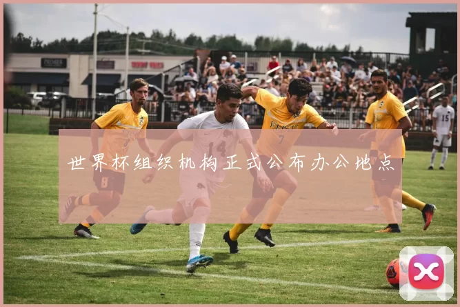 世界杯组织机构正式公布办公地点