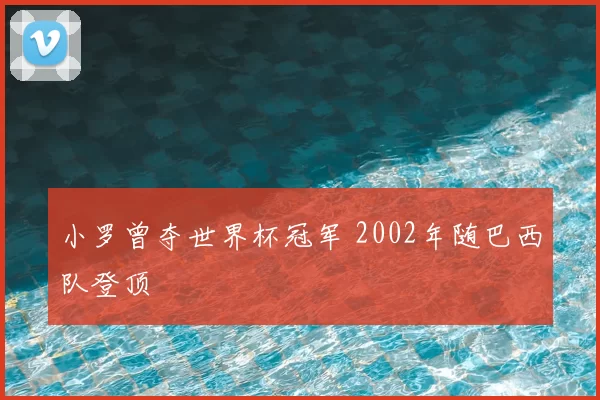 小罗曾夺世界杯冠军 2002年随巴西队登顶