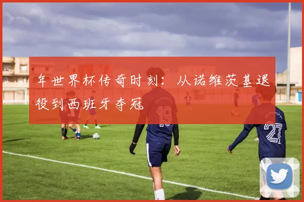 年世界杯传奇时刻:从诺维茨基退役到西班牙夺冠