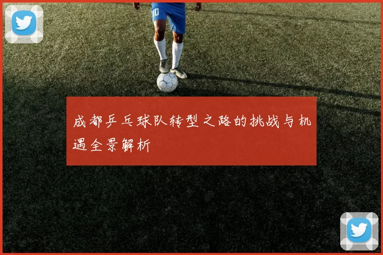 成都乒乓球队转型之路的挑战与机遇全景解析