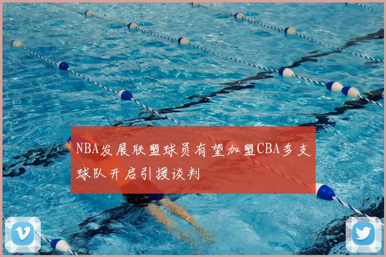 NBA发展联盟球员有望加盟CBA多支球队开启引援谈判
