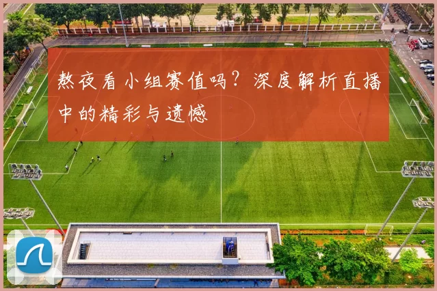 熬夜看小组赛值吗?深度解析直播中的精彩与遗憾