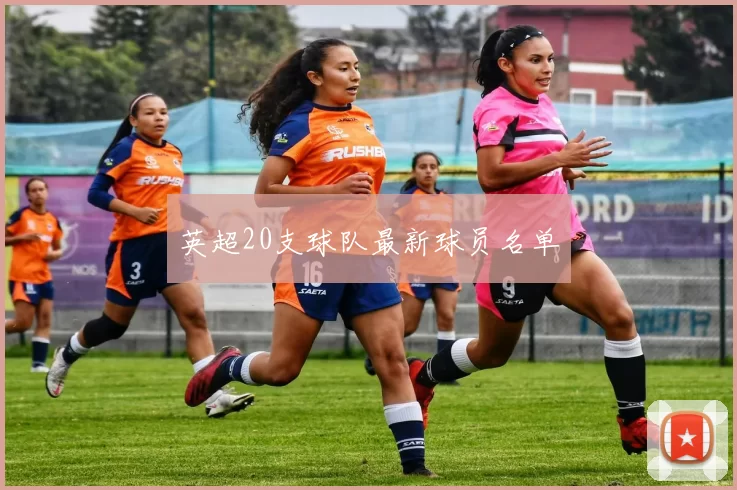 英超20支球队最新球员名单