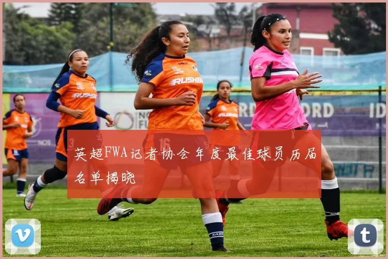 英超FWA记者协会年度最佳球员历届名单揭晓